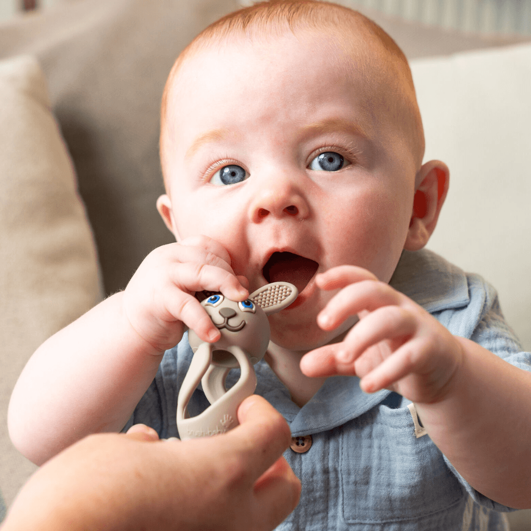 BRUSH BABY Ορθοδοντικό Μασητικό Σιλικόνης Πολλαπλών Υφών Λαγουδάκι Cappuccino (0+ μηνών)